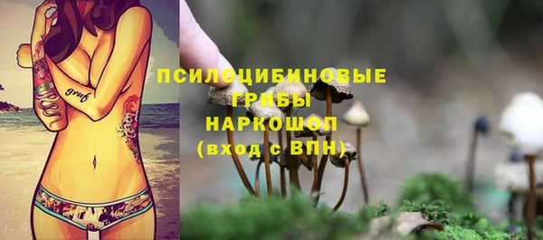 СК Коряжма