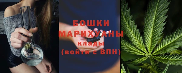СК Коряжма
