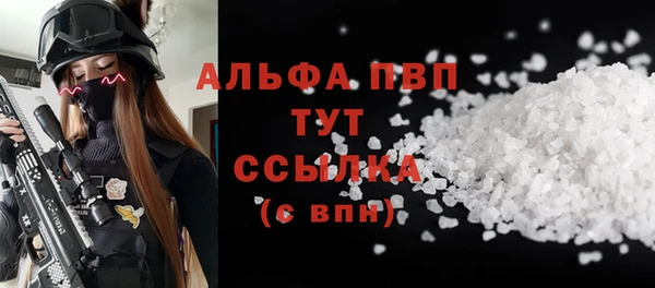 индика Красноперекопск