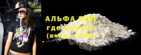 ПСИЛОЦИБИНОВЫЕ ГРИБЫ Кукмор