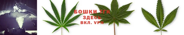 индика Красноперекопск